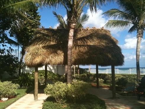 Tides Apt On Hollywood Beach Extérieur photo